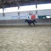 Ponyralley 142